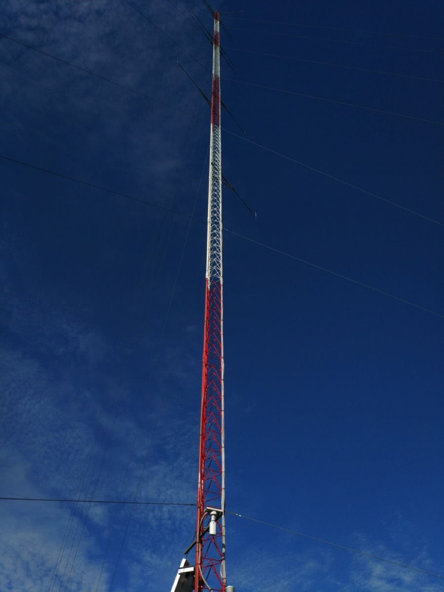 Stacks Image 49